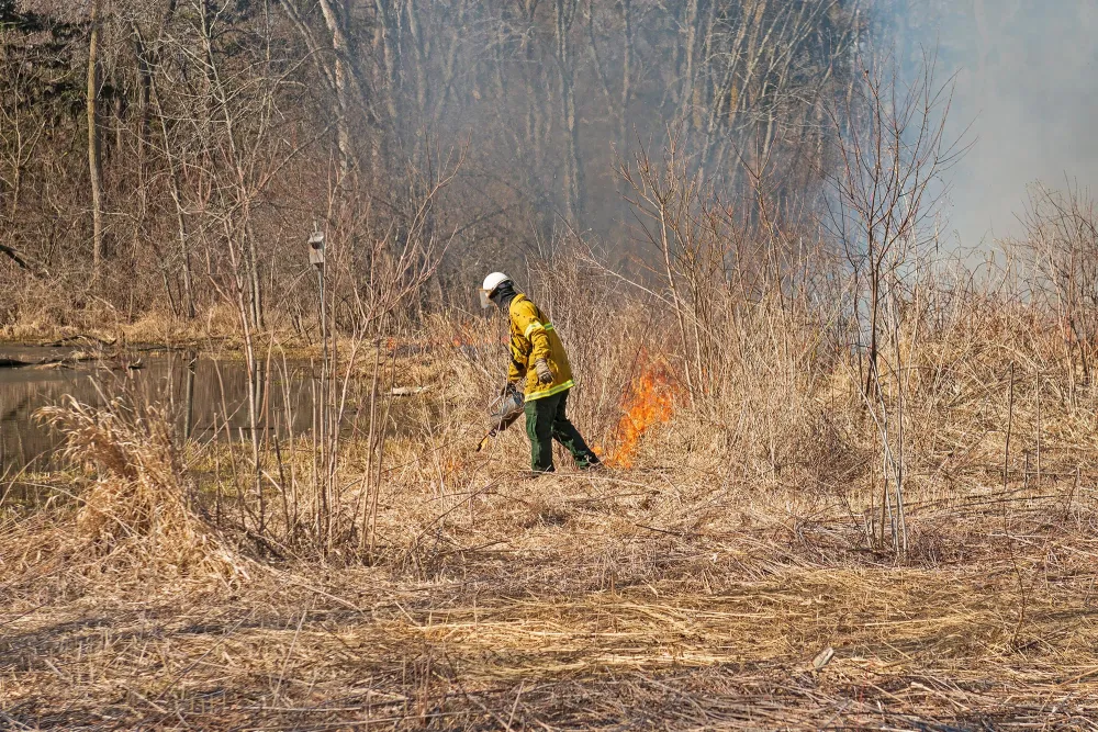 a person performing a prescribed fire