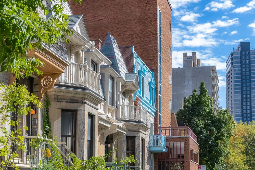 urban housing in a big city with trees