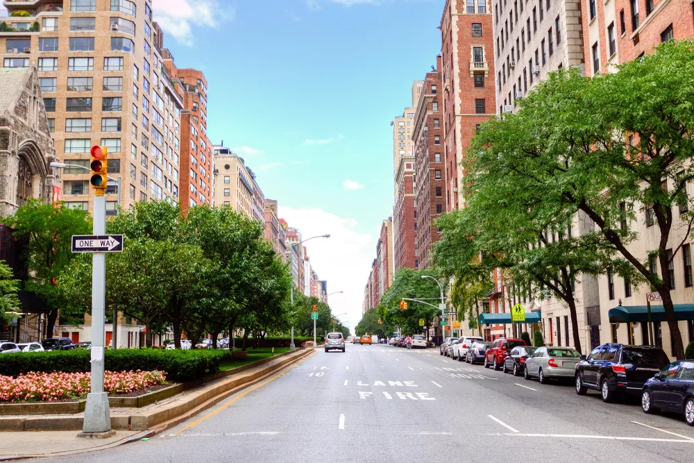 trees in new york city