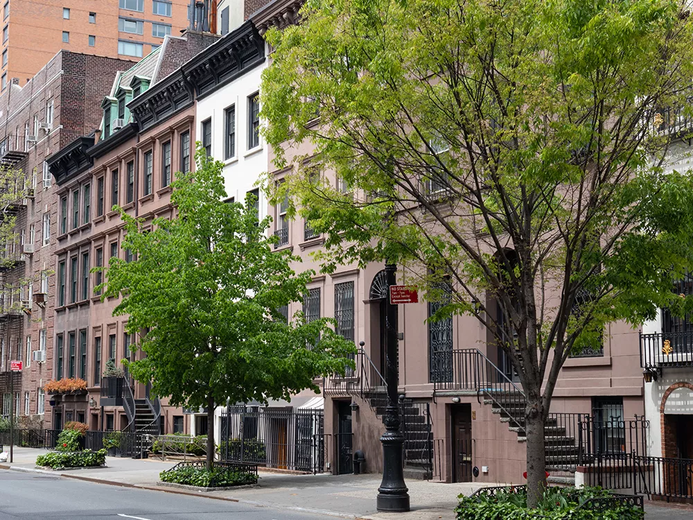 trees along urban street and housing in city