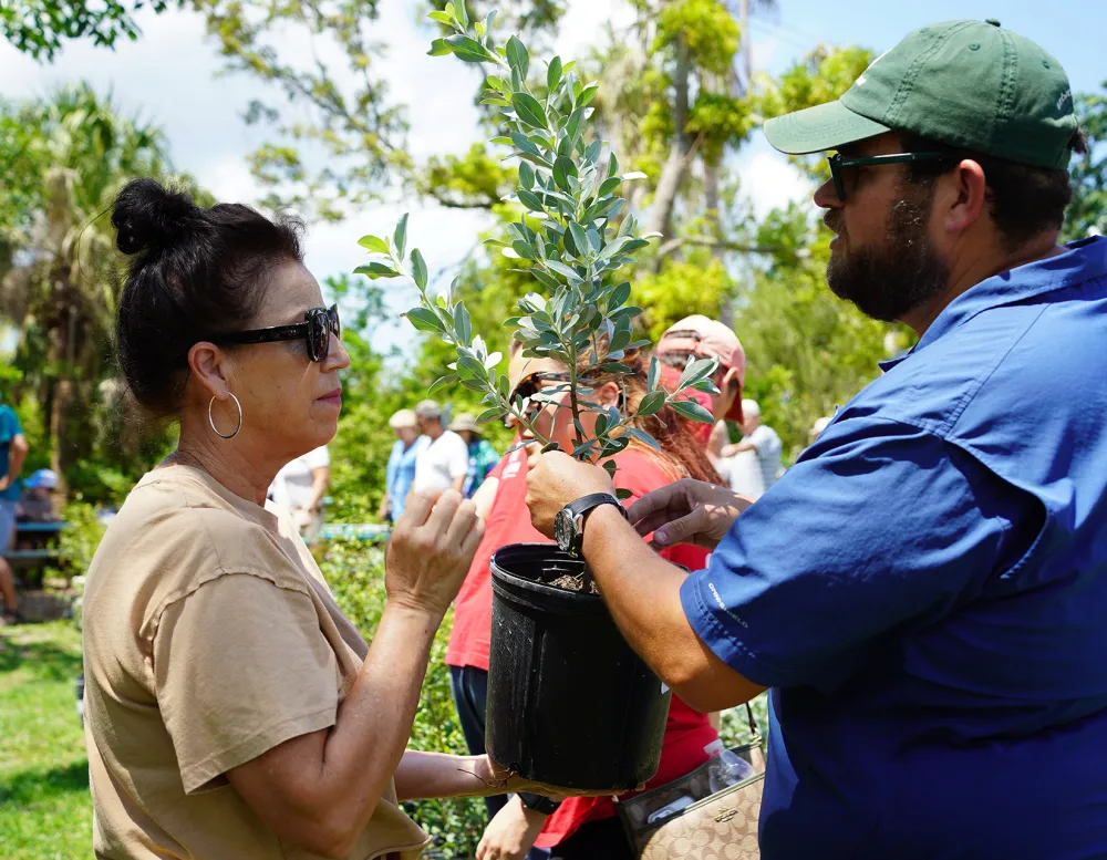 volunteer handing a free tree to a member of the community.