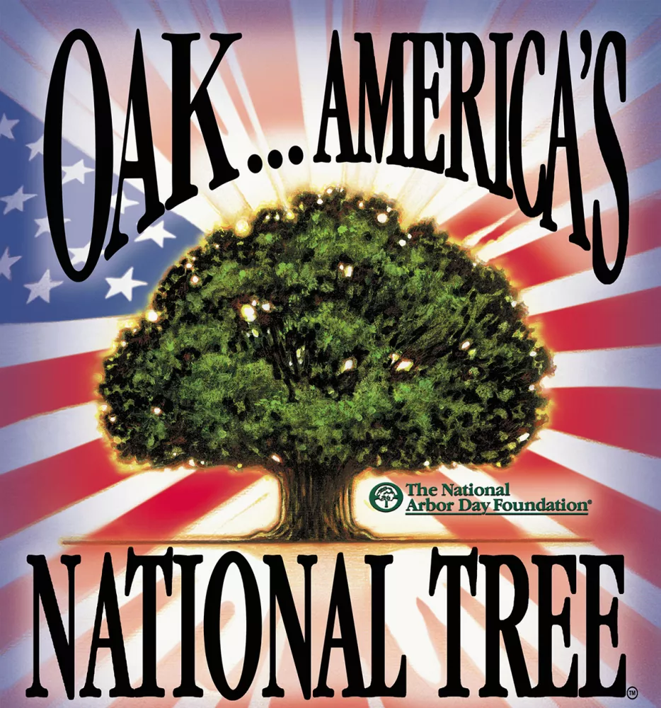 Image of the national tree poster