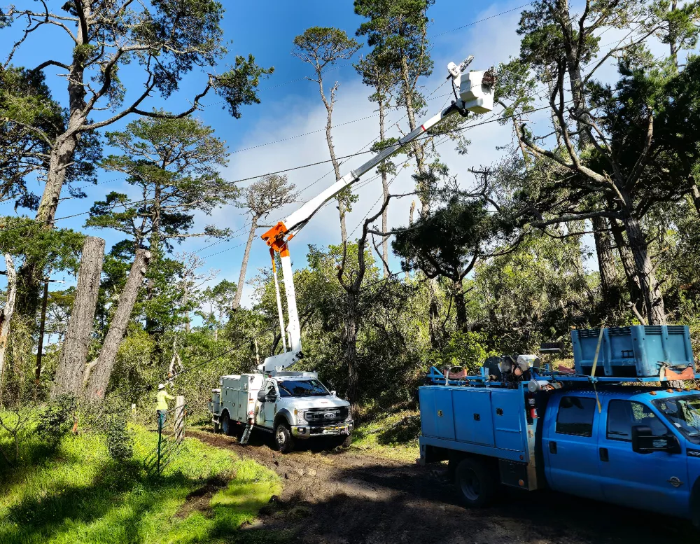 utility trucks trimming trees