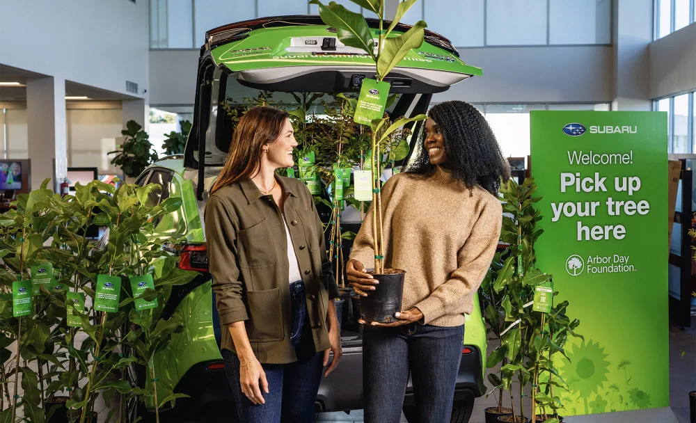 subaru dealership and trees