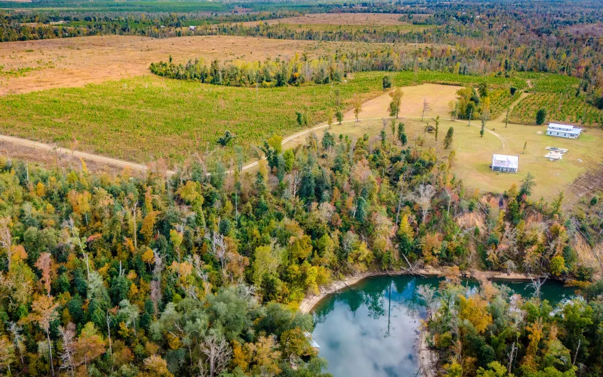 landscape of trees and housing