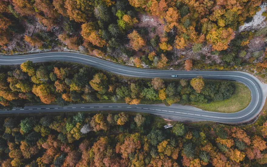 a road wrapping around trees