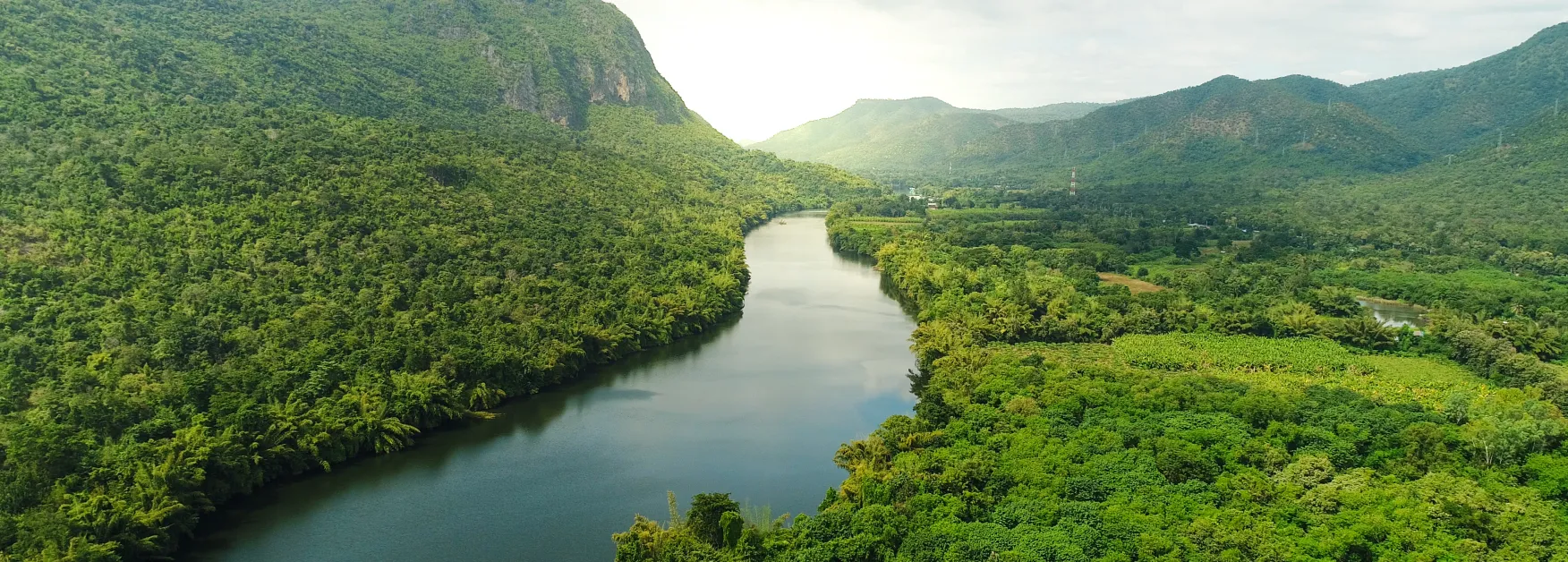 tropical forest with river landscape