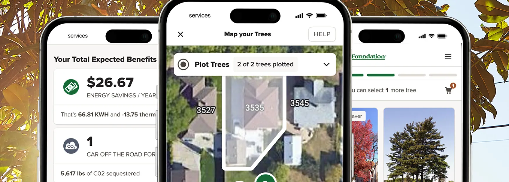 Screenshots of Community Tree Distribution technology on three phones, overlayed on a tree image.