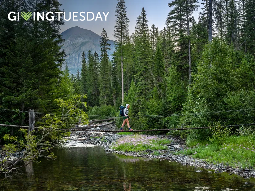 Woman crossing a bridge over a river in a dense forest, with a Giving Tuesday logo overlay on the image.