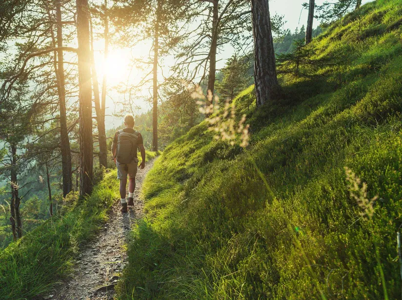 Man walking through edge of woods