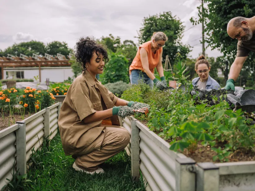 people gardening