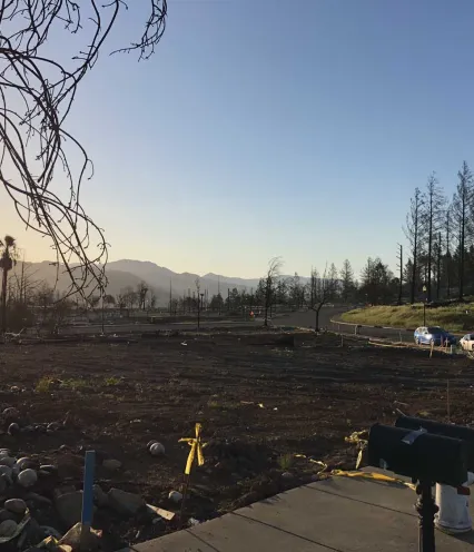 View of a park devastated by wildfire.