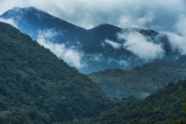 foggy alto mayo mountain landscape.