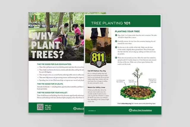 Preview of Tree Planting 101 guide