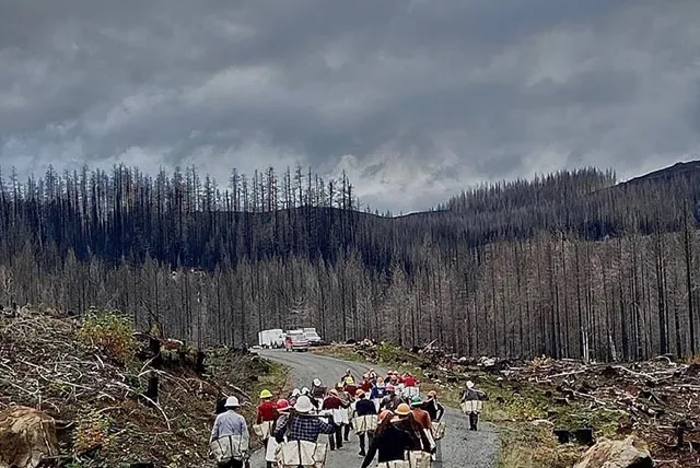 A group of people walk together along a gravel road with remnants of a forest fire alongside the road.