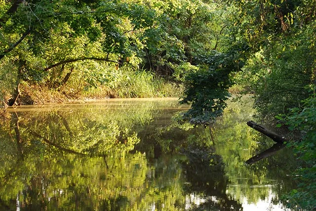 A serene river surrounded by trees, with a reflection of the landscape on the water's surface.