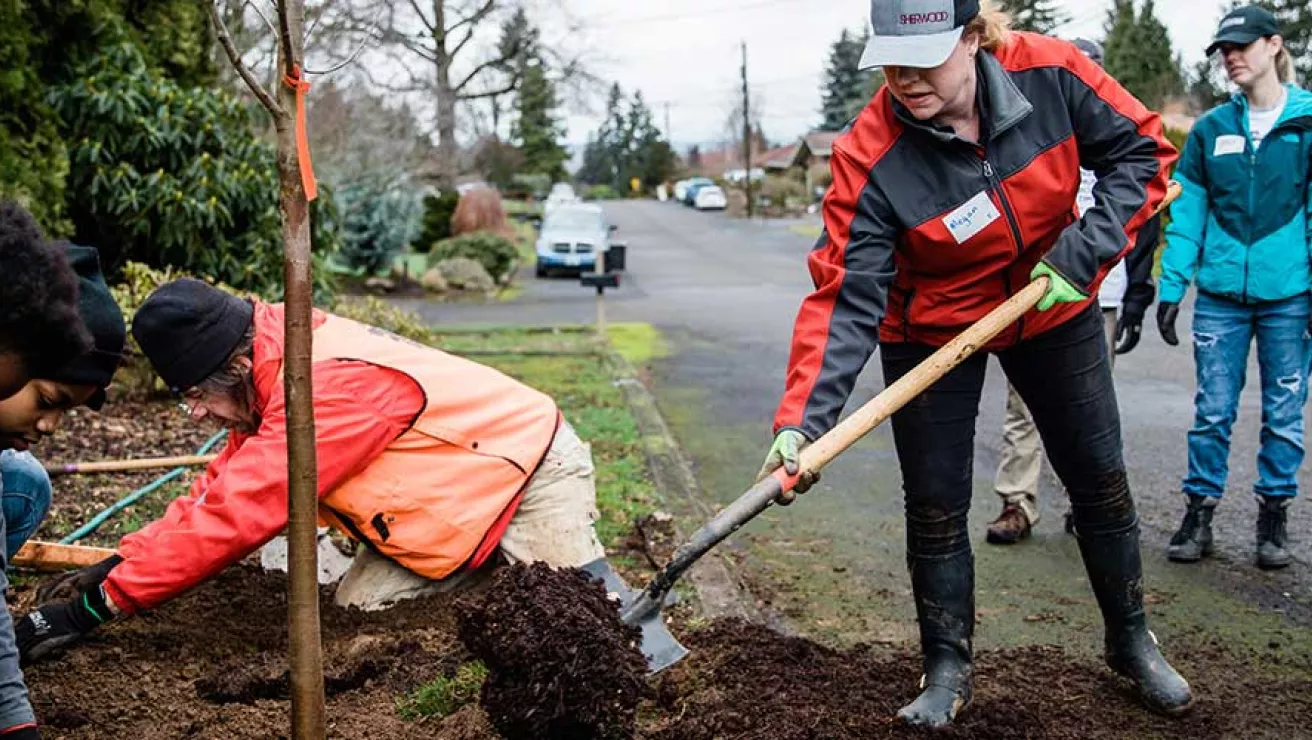 Group planting tree in a community