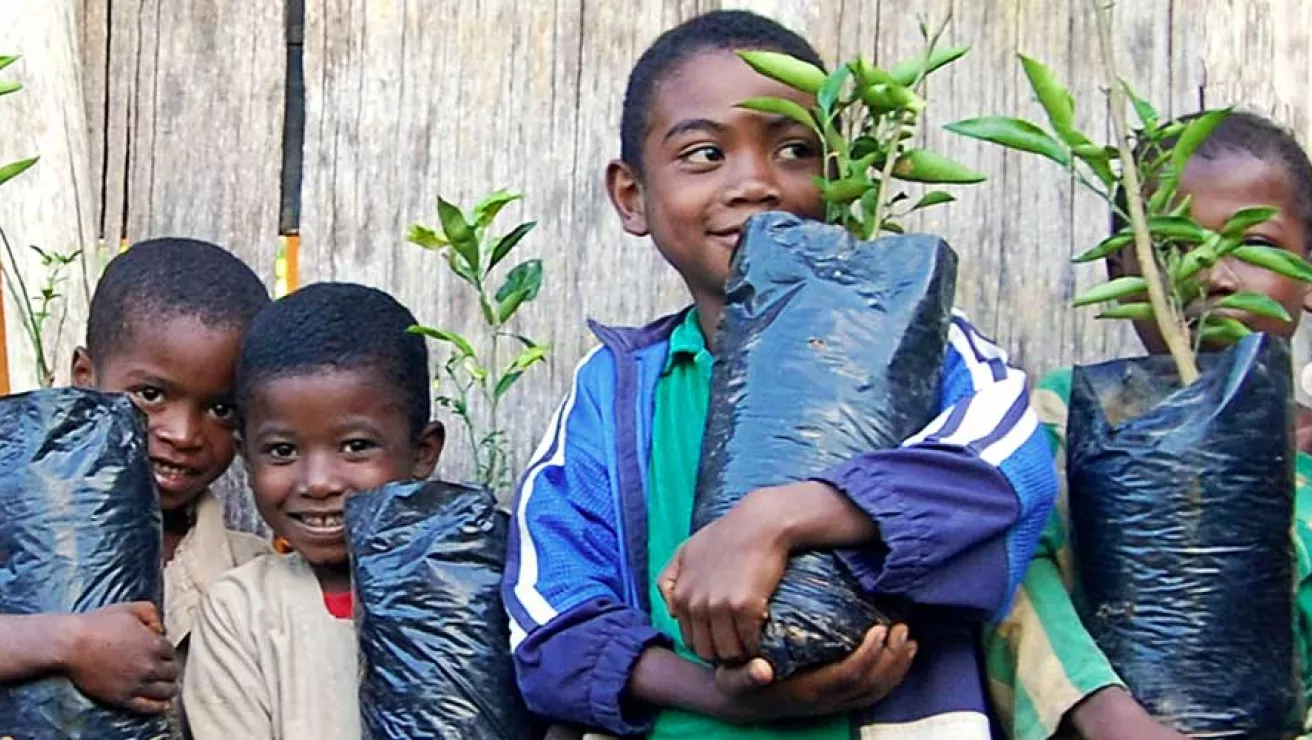 Boys holding tree saplings