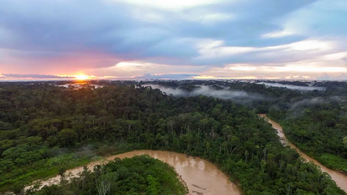 A lush view of the Amazon rainforest, showcasing its vast greenery as the largest tropical rainforest on Earth.