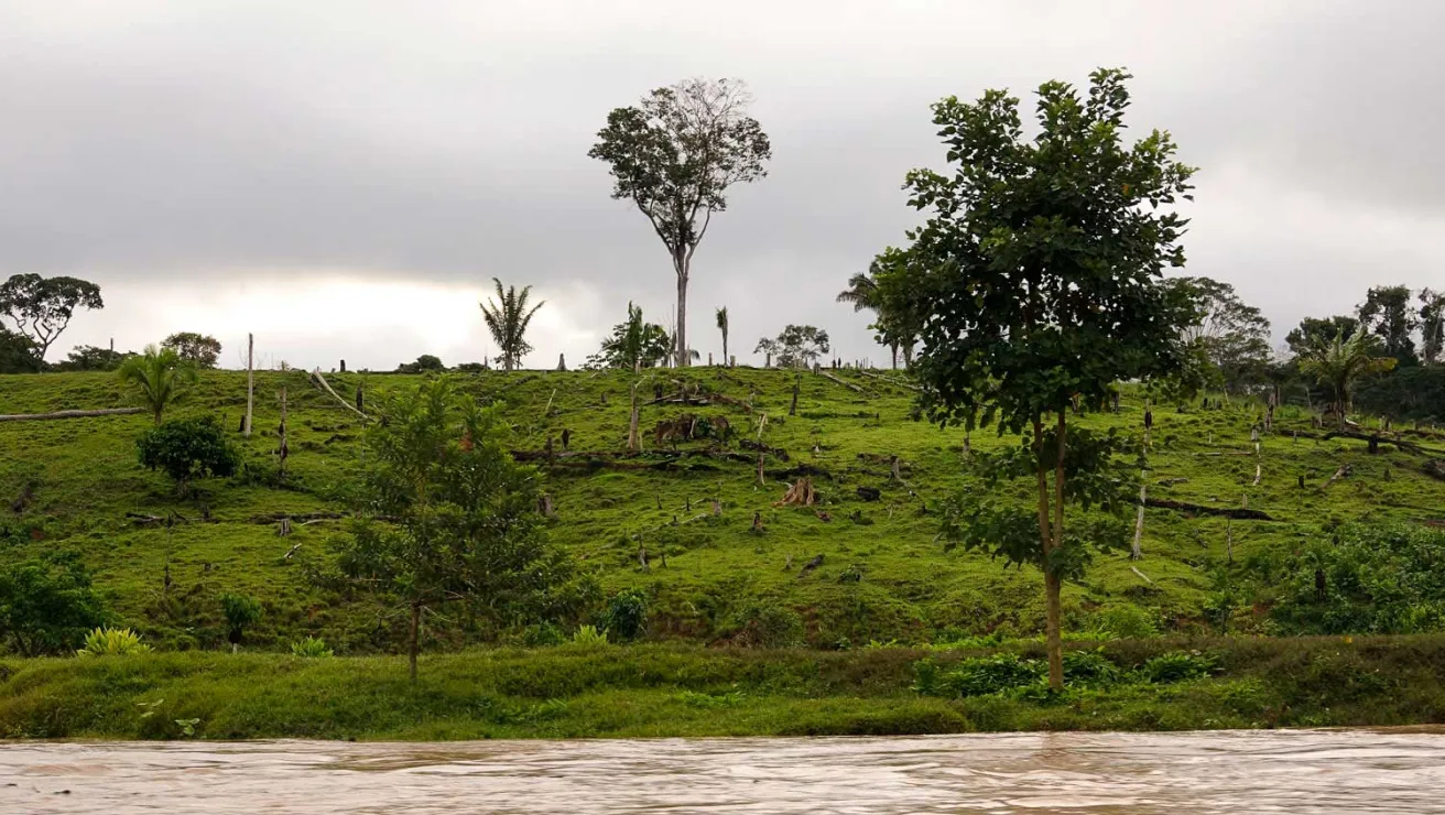 Deforested section of land on a green, grassy hill in the Amazon.