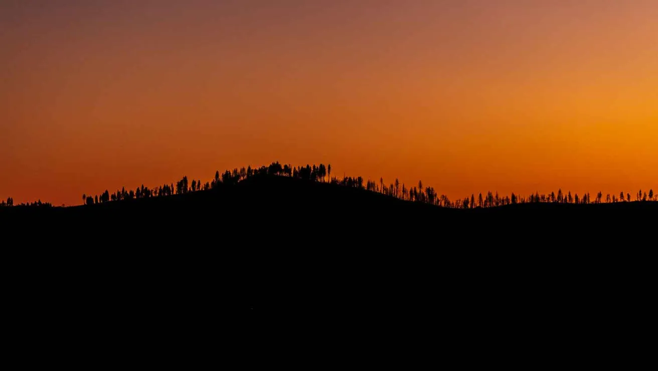 Silhouette of trees on a hill against a red sky.