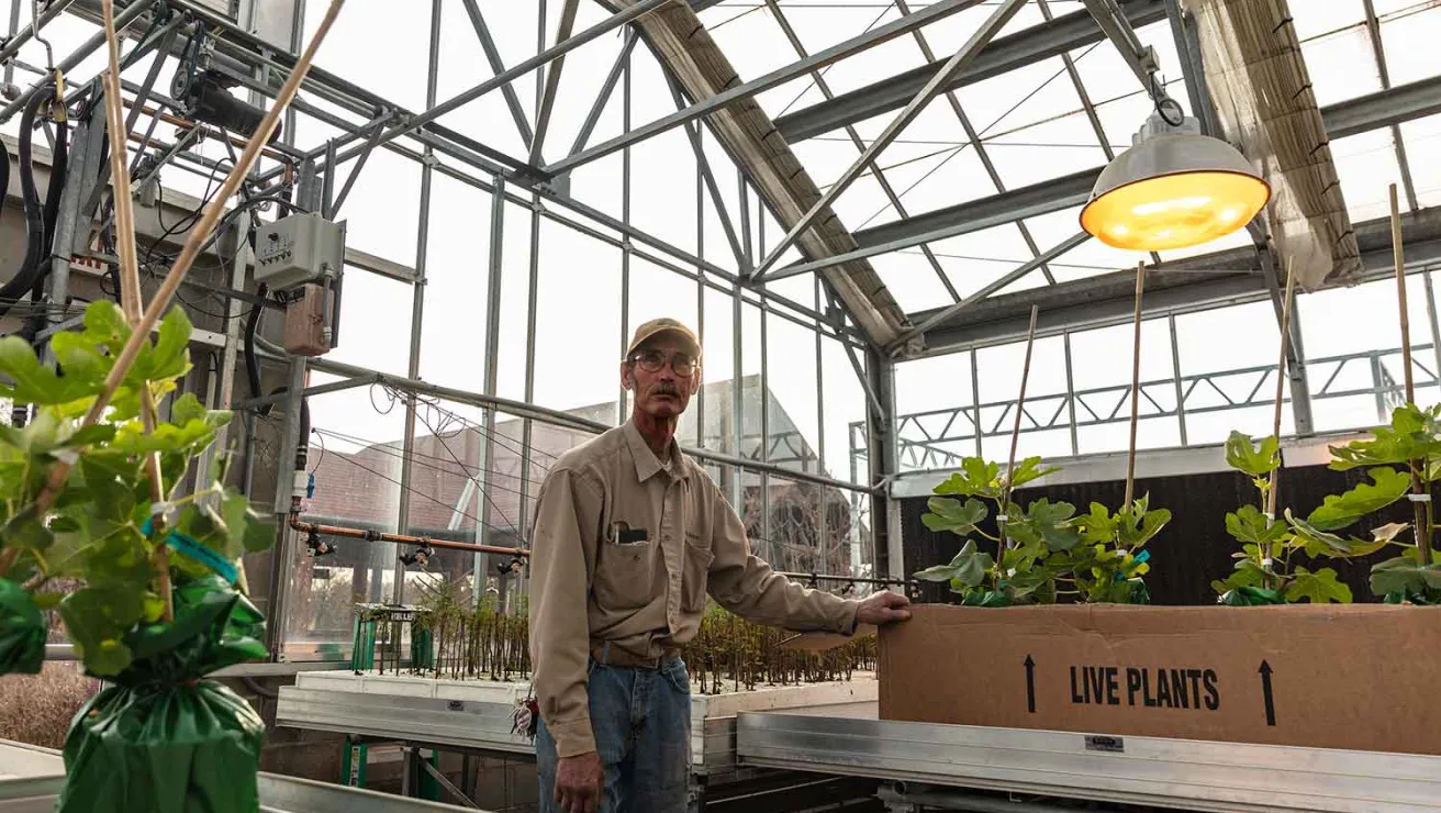 A man stands in a greenhouse surrounded by green plants.