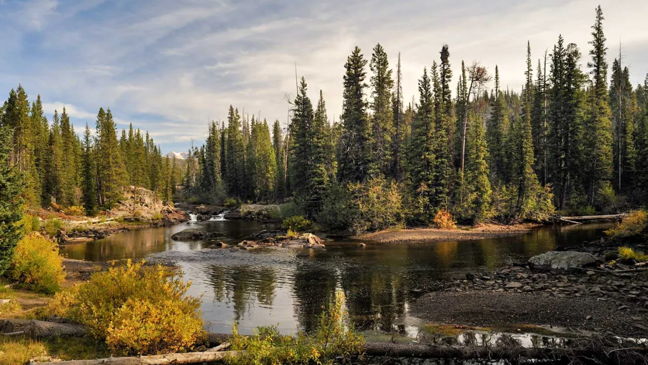 A serene river flows through a lush forest, surrounded by trees and scattered rocks, creating a tranquil natural scene.