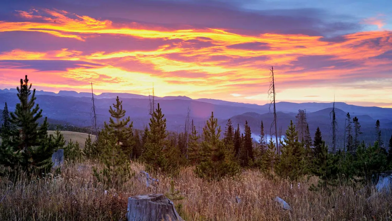 A vibrant sunset casts colors over a mountain range, framed by trees and lush grass in the foreground.