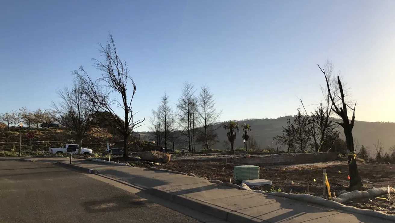 View of a park devastated by a wildfire.