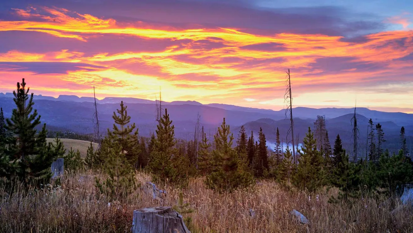 sunrise in a growing forest with mountains