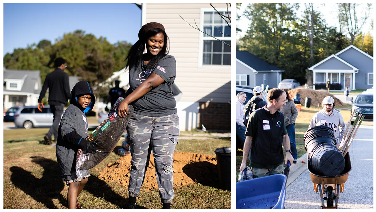 people planting trees in south carolina collage