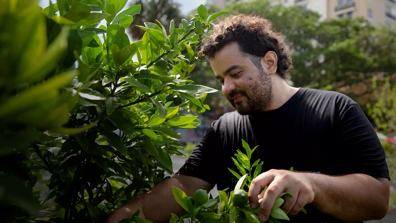 person looking at trees to be planted