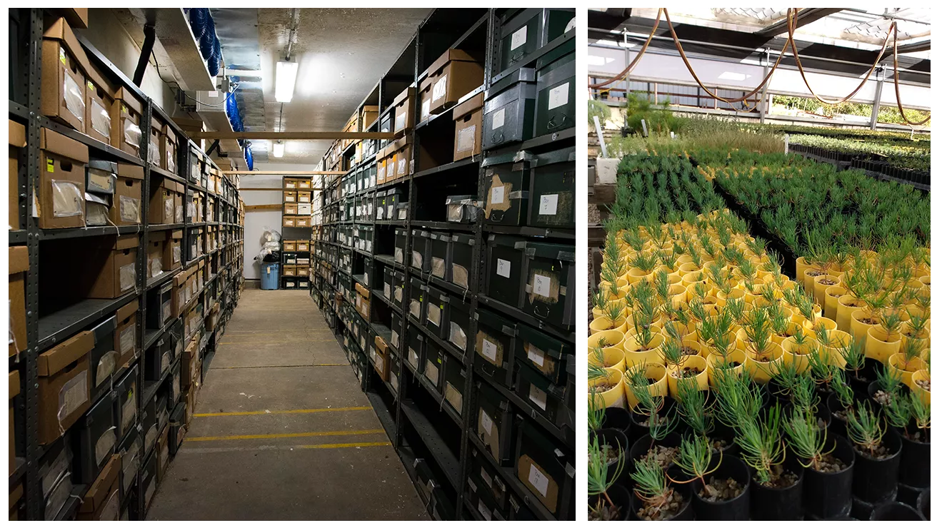 plants and storage hall collage