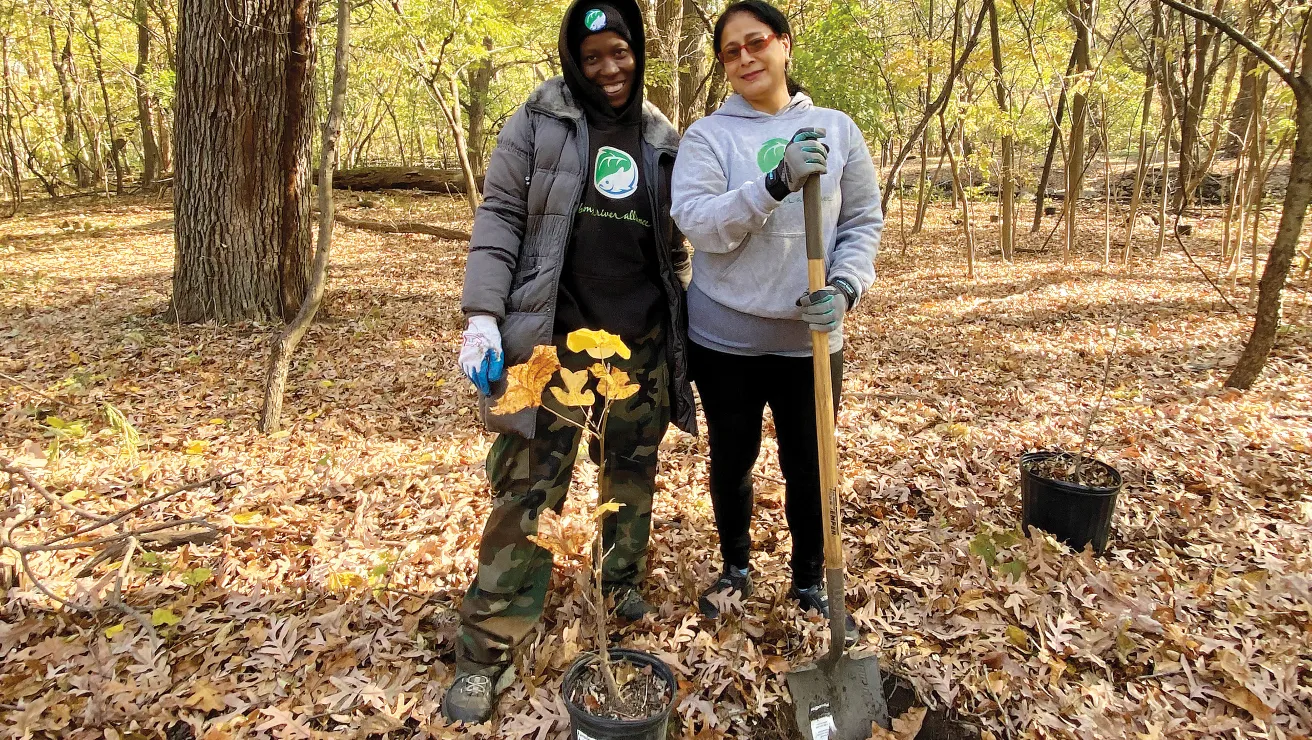 Two people planting trees in the fall