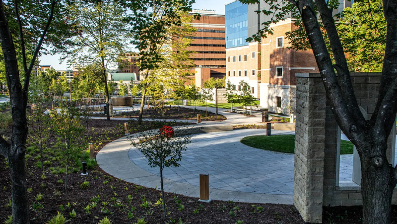 Mayoclinic Hospital campus