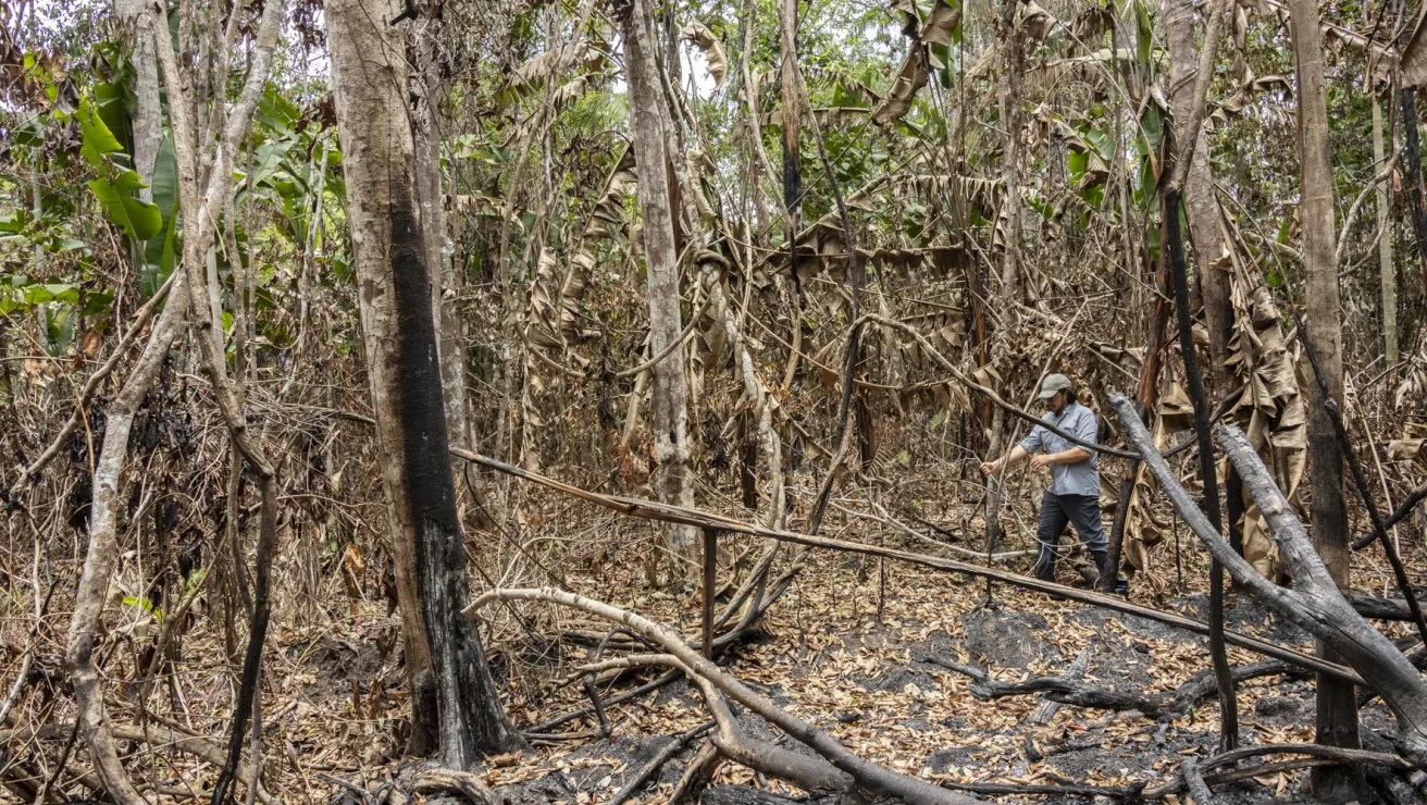 person in amazon rainforest