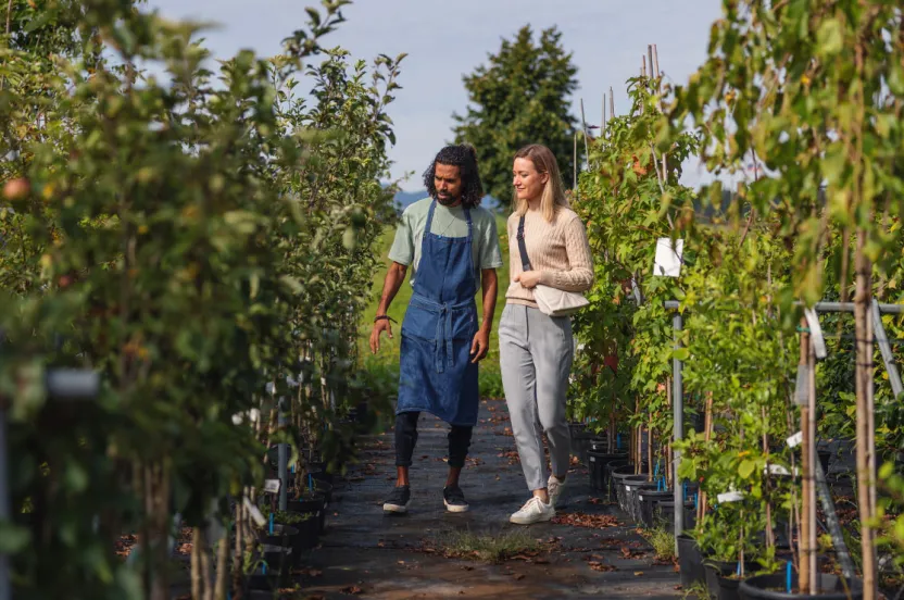 person apple picking 