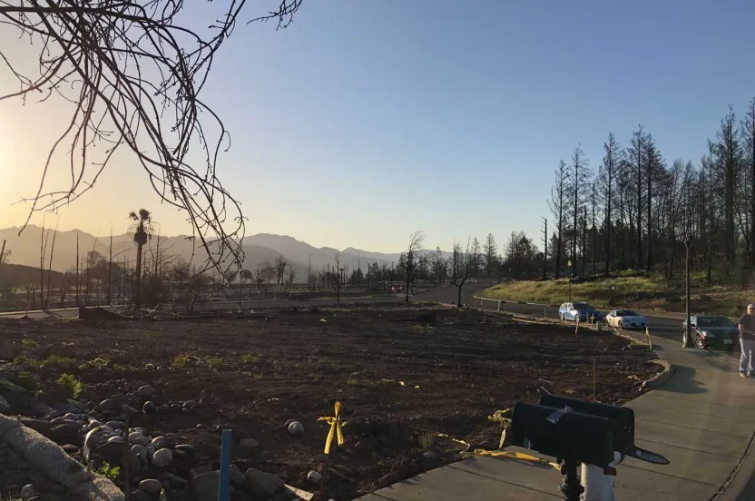 View of a park devastated by wildfire.