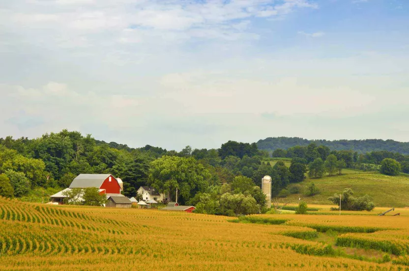 Image of farm with trees and rows of crops