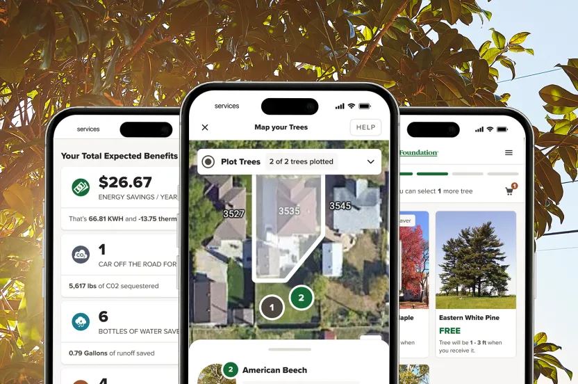 Screenshots of Community Tree Distribution technology on three phones, overlayed on a tree image.