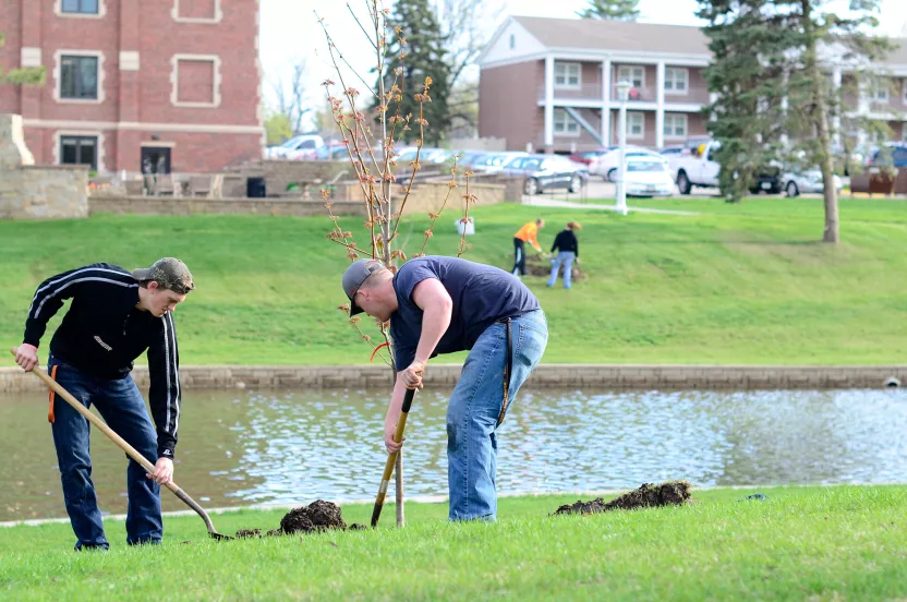 tree planting in neighborhood