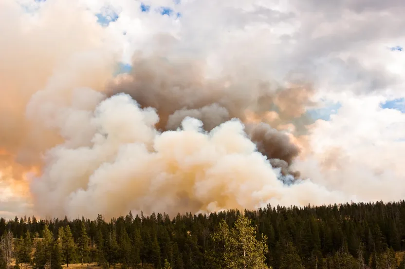 fire at yellowstone national park