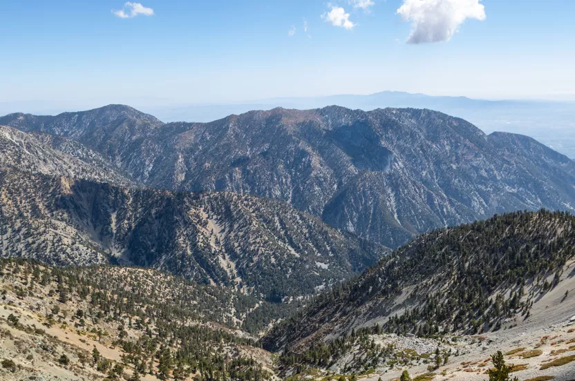 mountains and trees landscape