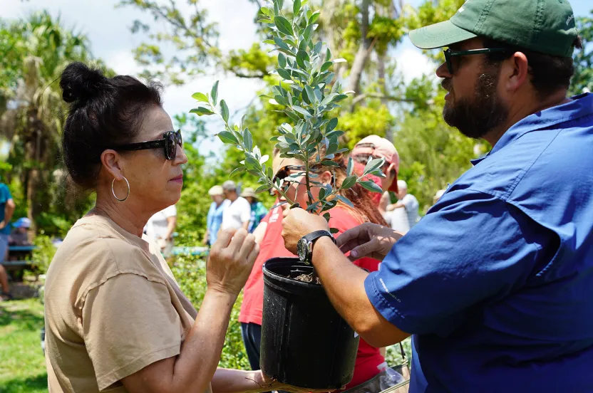 volunteer handing a free tree to a member of the community.