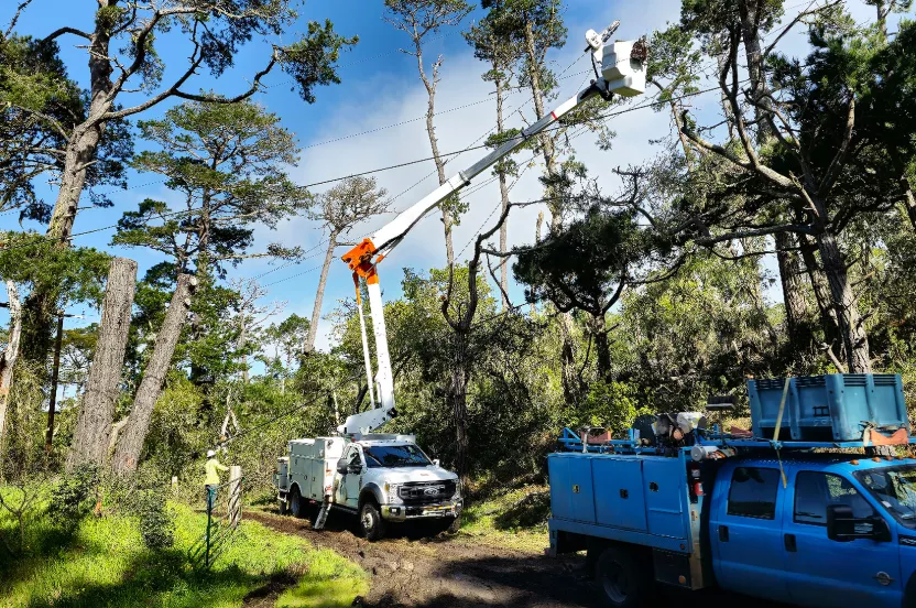 utility trucks trimming trees