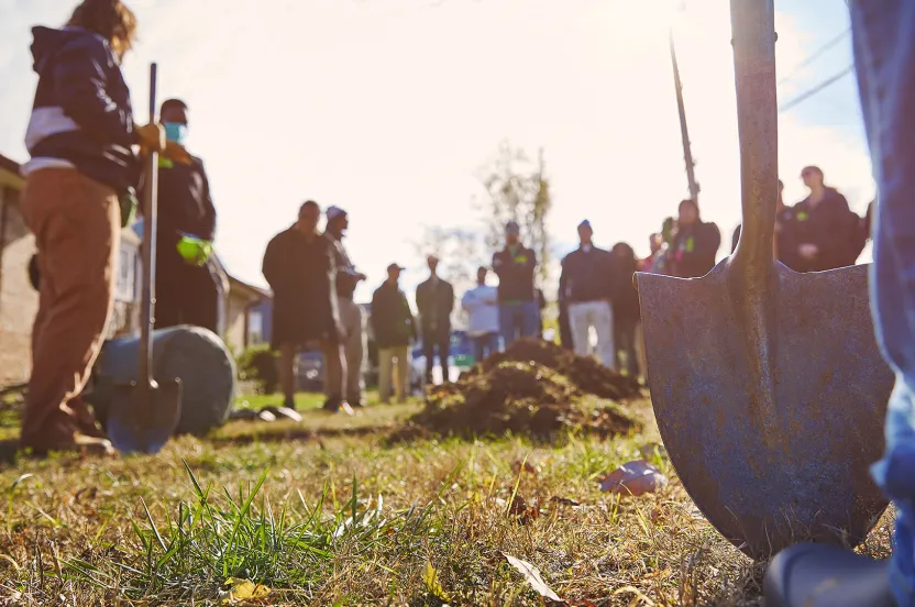 Several people with shovels digging holes in the ground to plant trees.