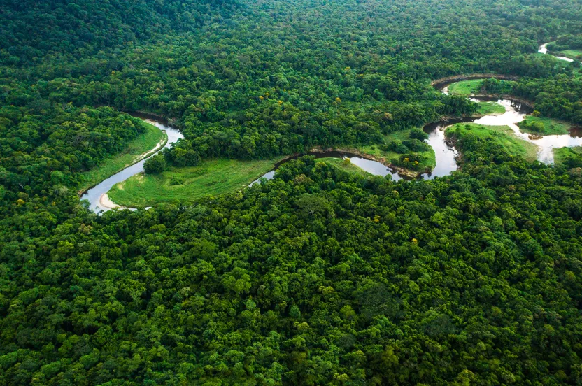 Aerial view of the Atlantic Forest in Brazil, showcasing a winding river surrounded by lush greenery.