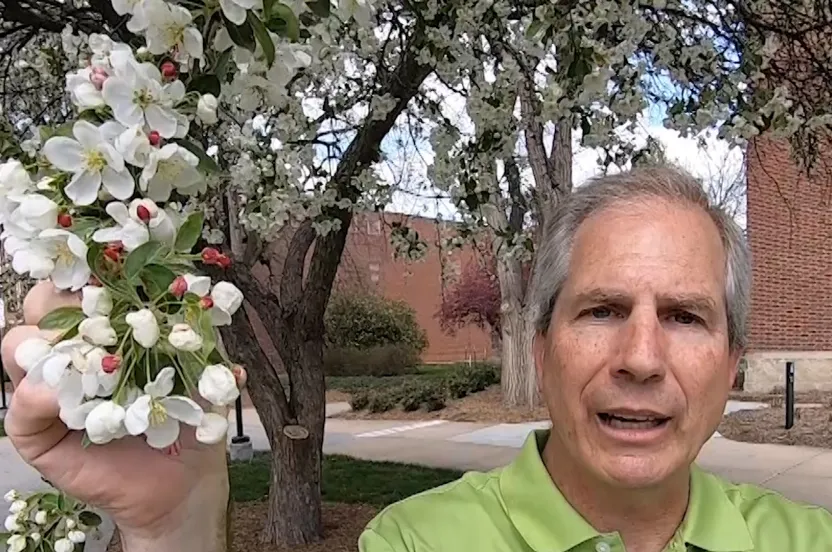 Man standing in front of a crabapple tree.