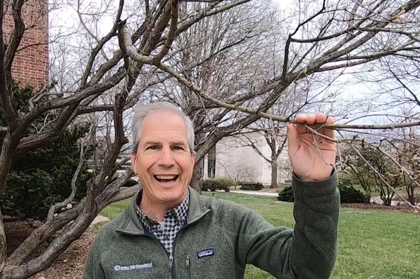 Man standing in front of a Japanese red maple tree.