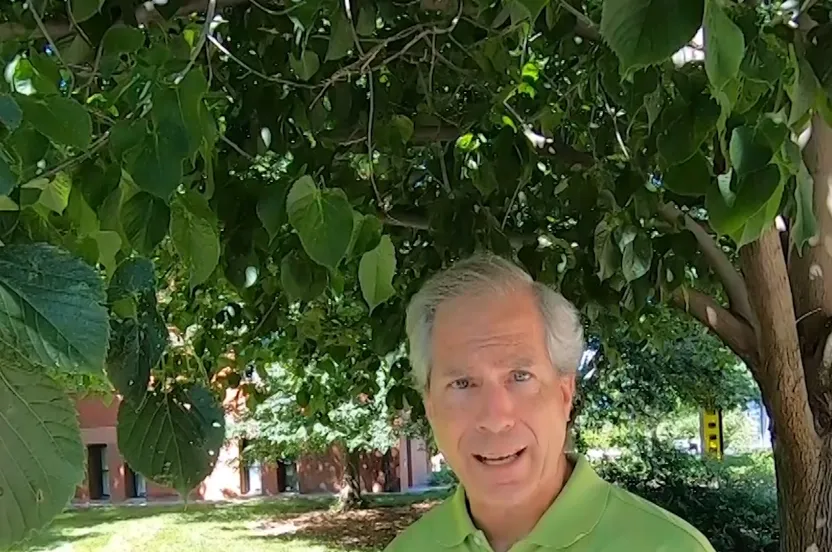 Man standing in front of a linden tree.